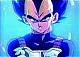   vegeta.san